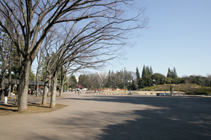 Setagaya Park
