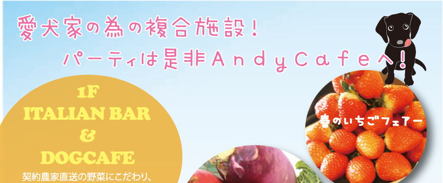 Andy Cafe